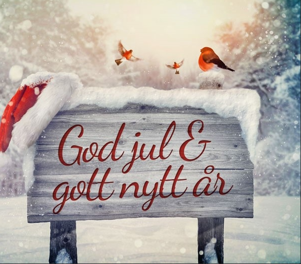 God Jul og Godt Nytt År