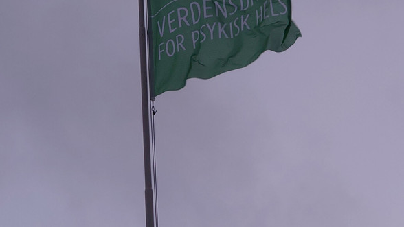 Verdensdagsflagg