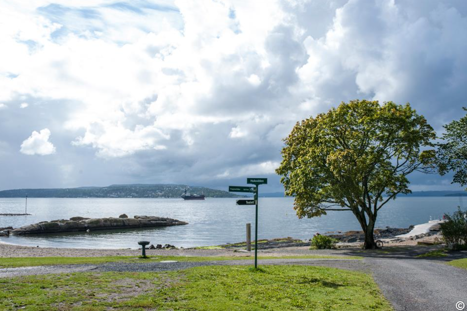 Strand med vei, gressplen og trær.