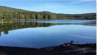 Sognsvann