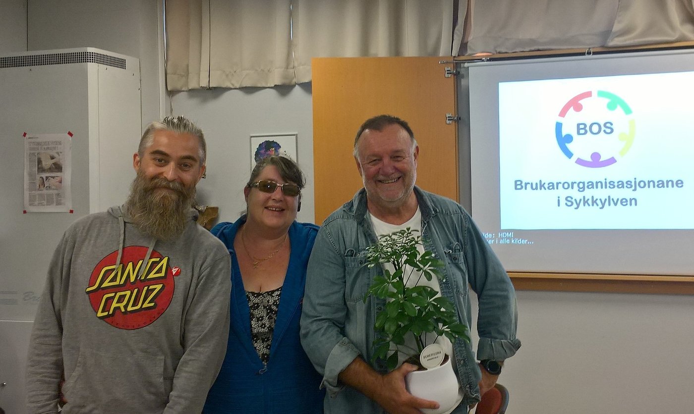 Olle Andre Hellebostad, Anne Turid Angell Vikstad, Leonard Vårdal.